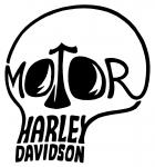 Lebka Motor Harley Davidson