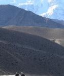 dolm eky Kali Gandaki
