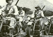 Harleye, dodan� do ji�n� Afriky, m�ly pon�kud v�t�� sv�tlost d�ky asi o osm centimetr� del�� p�edn� vidlici a atypick�m balonov�m pneumatik�m. Jejich nosi�e poch�zely z civiln� v�roby za��tku t�ic�t�ch let a nebyly uzp�soben� pro jednotn� ko�en� bra�ny na arm�dn�ch modelech WLA a WLC.