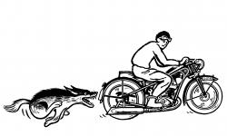 6_Zadna-zviratka_MINI