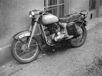 foto Ho���lek (1961)